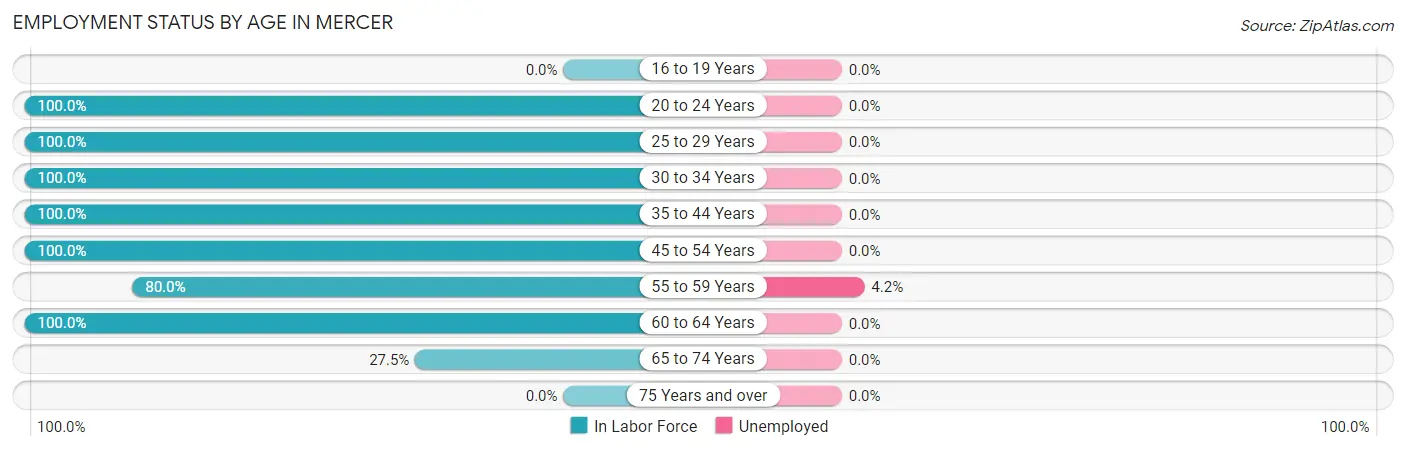 Employment Status by Age in Mercer