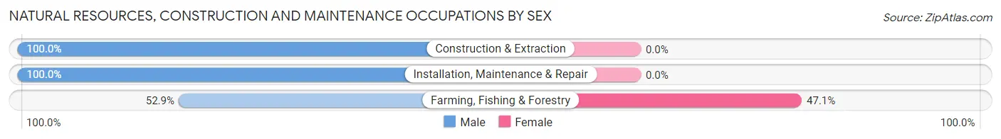 Natural Resources, Construction and Maintenance Occupations by Sex in Mercer