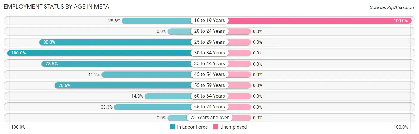 Employment Status by Age in Meta