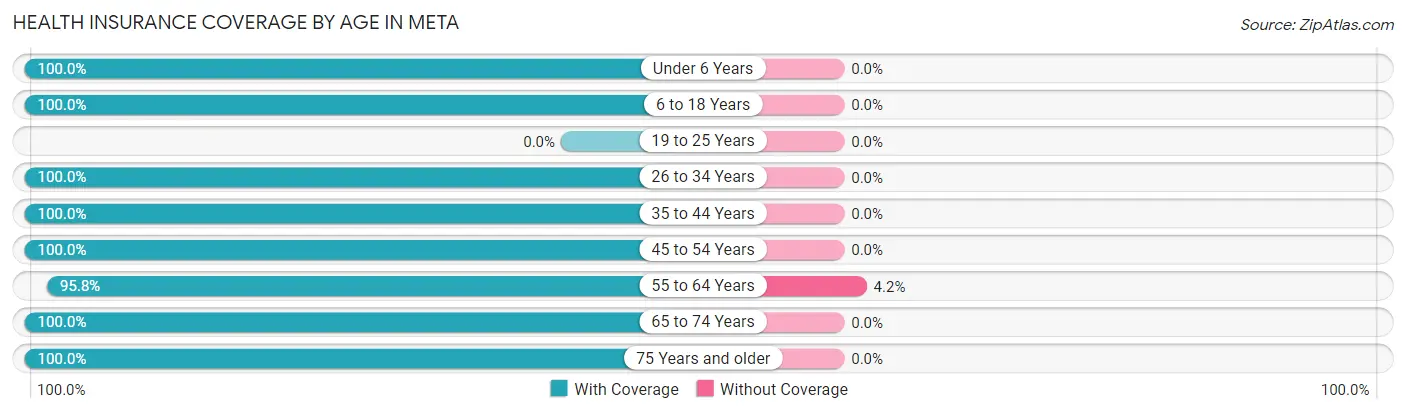 Health Insurance Coverage by Age in Meta