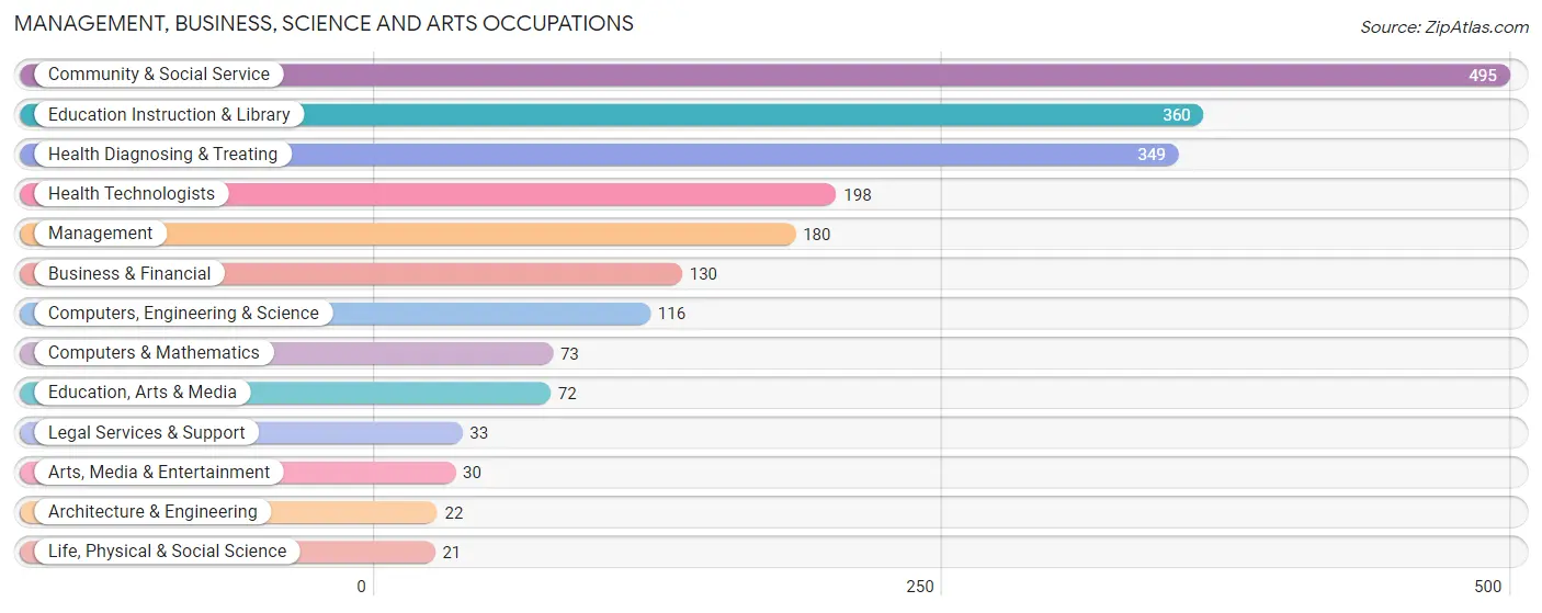 Management, Business, Science and Arts Occupations in Mexico