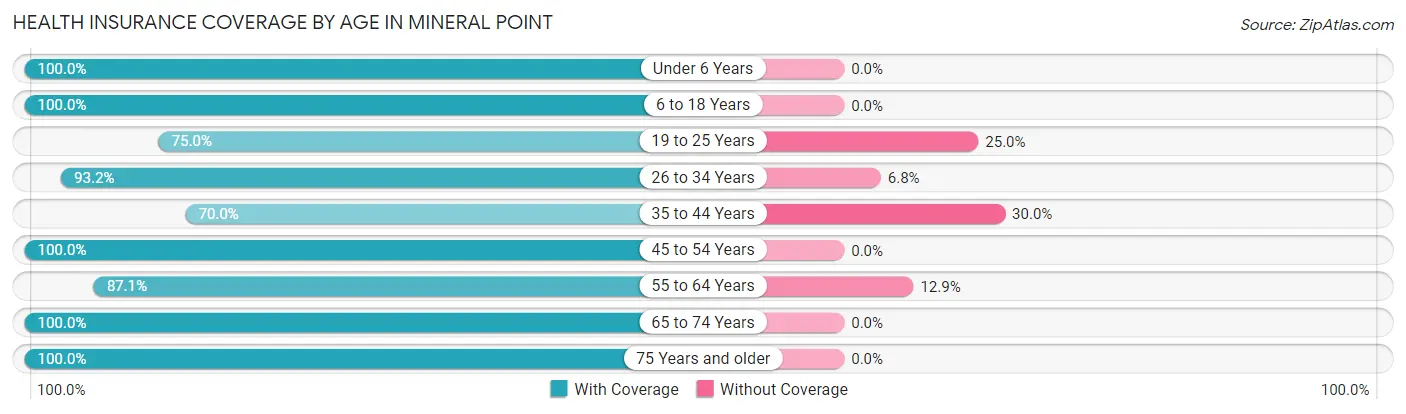 Health Insurance Coverage by Age in Mineral Point