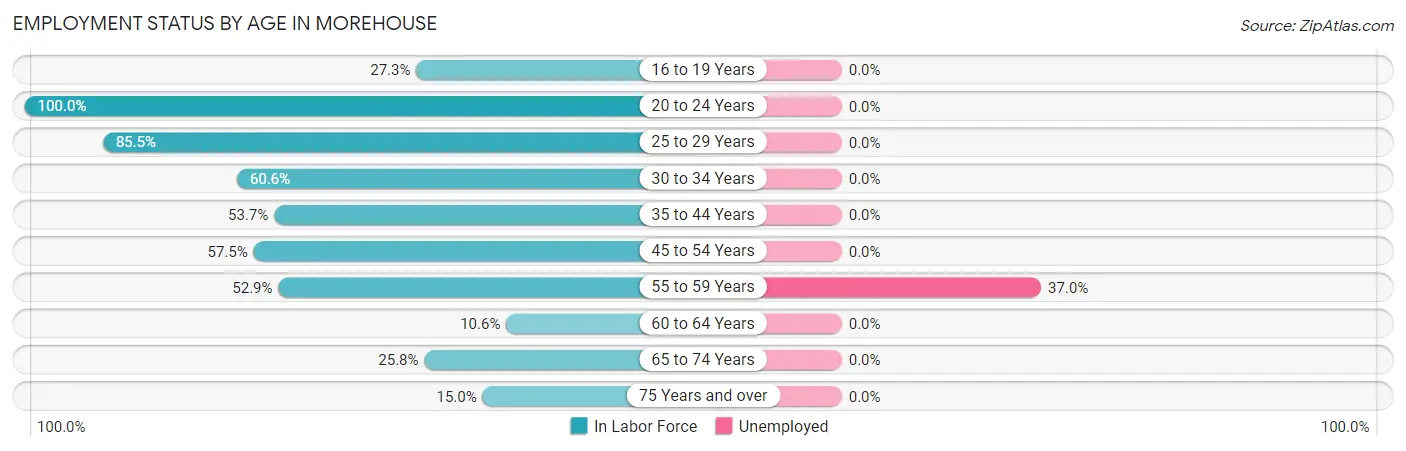 Employment Status by Age in Morehouse