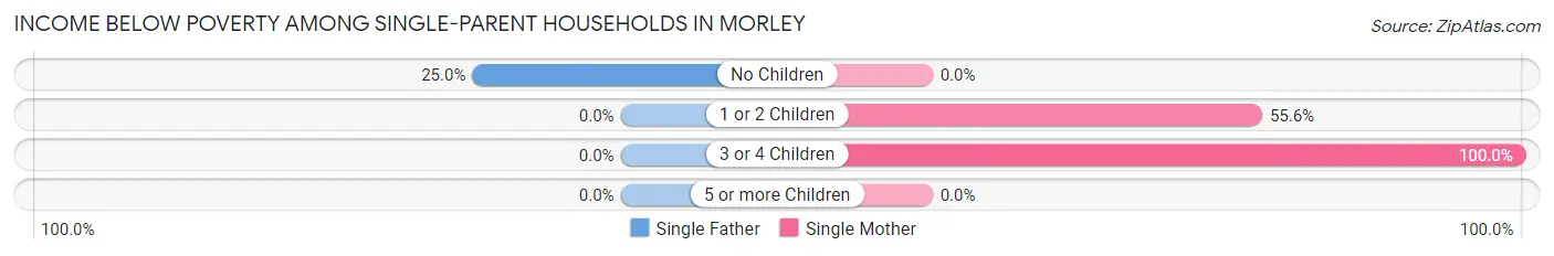 Income Below Poverty Among Single-Parent Households in Morley