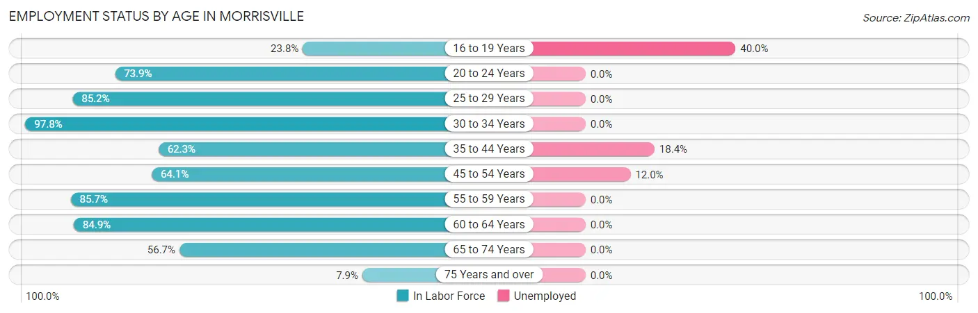 Employment Status by Age in Morrisville