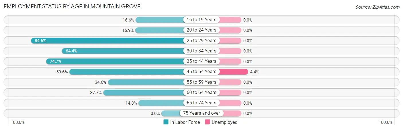 Employment Status by Age in Mountain Grove