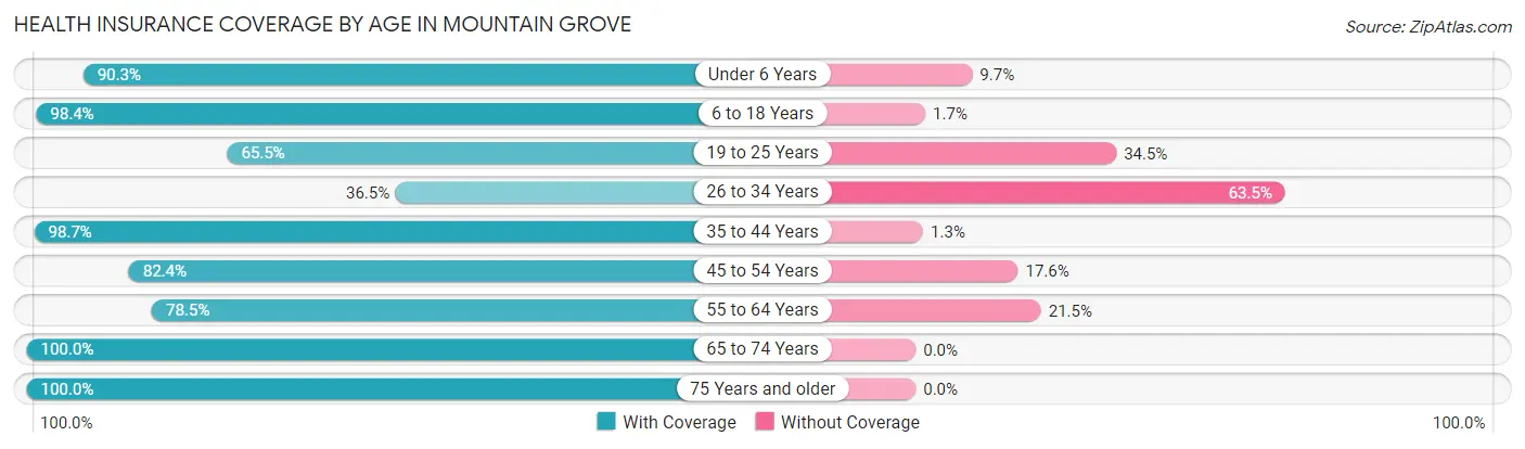 Health Insurance Coverage by Age in Mountain Grove
