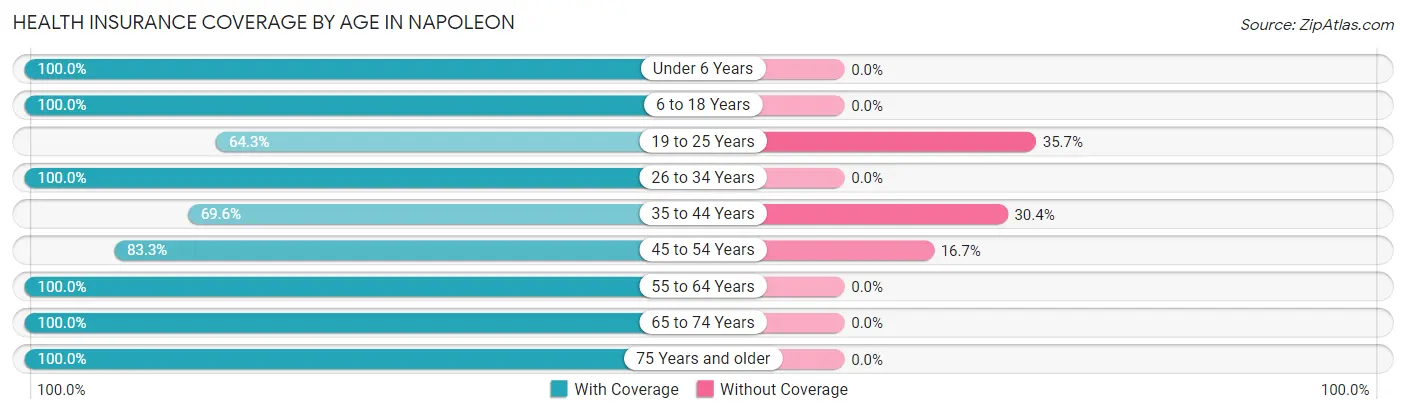 Health Insurance Coverage by Age in Napoleon