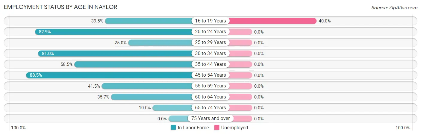 Employment Status by Age in Naylor