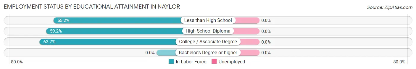 Employment Status by Educational Attainment in Naylor