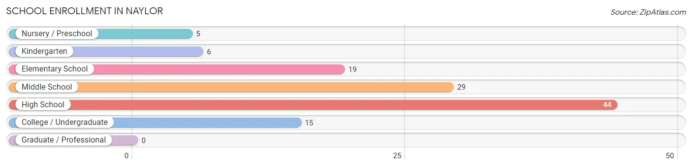 School Enrollment in Naylor