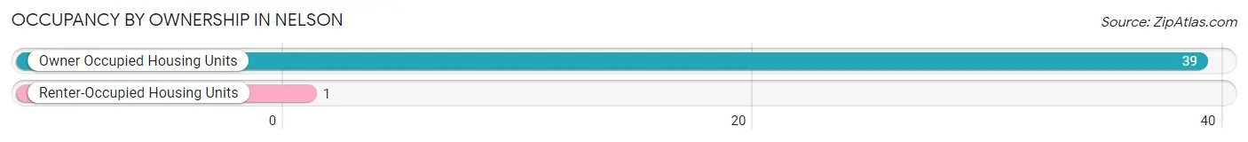 Occupancy by Ownership in Nelson