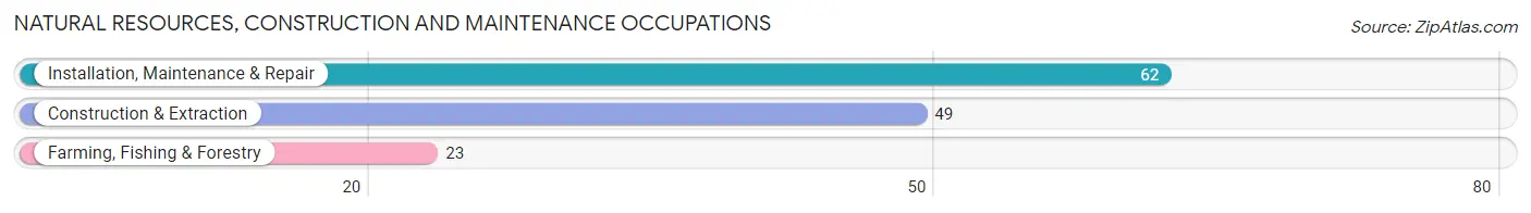 Natural Resources, Construction and Maintenance Occupations in Nevada