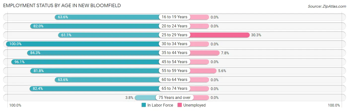 Employment Status by Age in New Bloomfield
