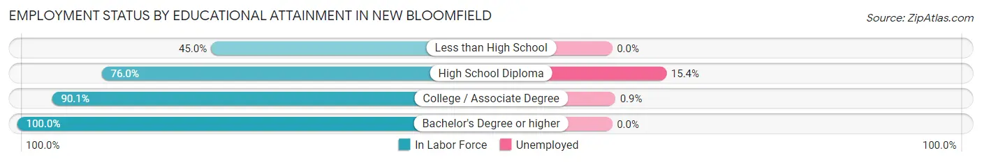 Employment Status by Educational Attainment in New Bloomfield