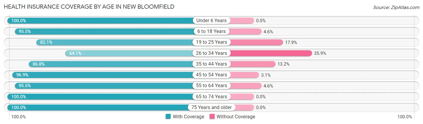 Health Insurance Coverage by Age in New Bloomfield