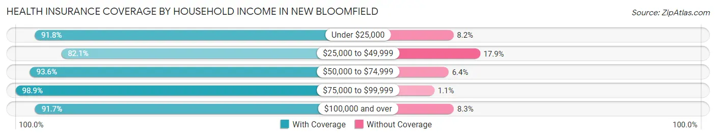 Health Insurance Coverage by Household Income in New Bloomfield