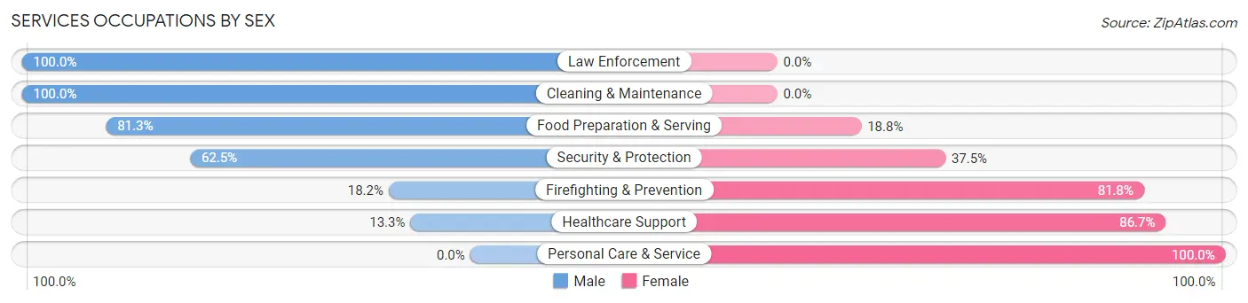 Services Occupations by Sex in New Bloomfield