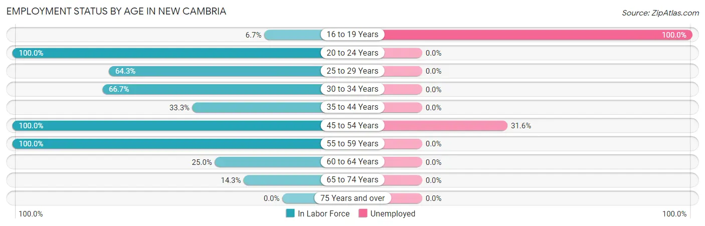 Employment Status by Age in New Cambria