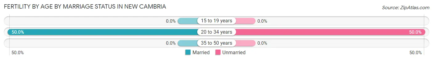 Female Fertility by Age by Marriage Status in New Cambria