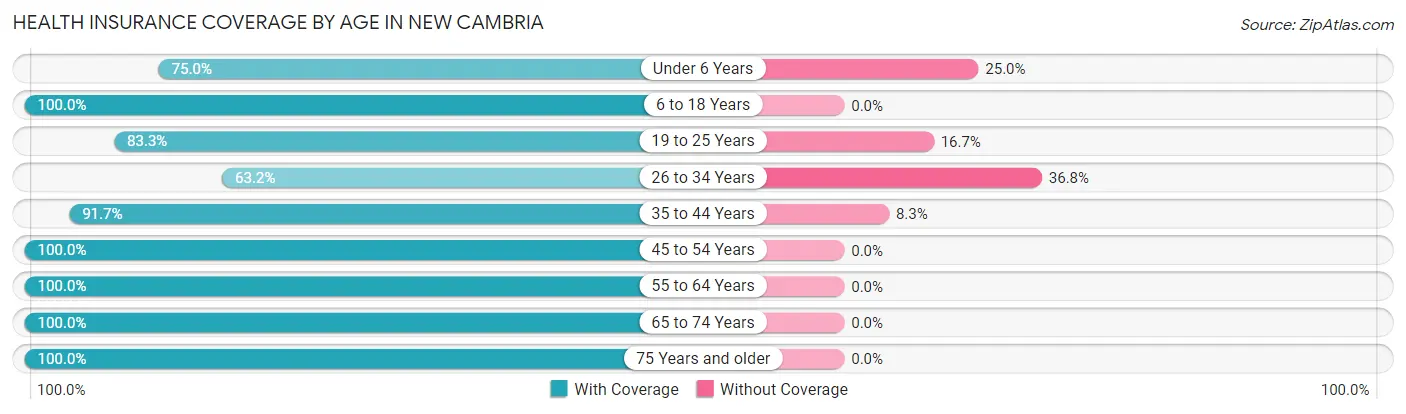 Health Insurance Coverage by Age in New Cambria