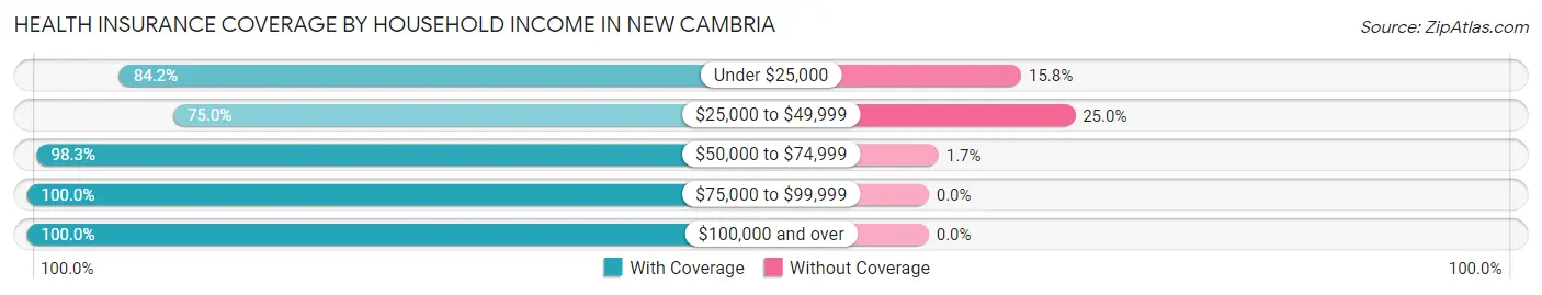 Health Insurance Coverage by Household Income in New Cambria