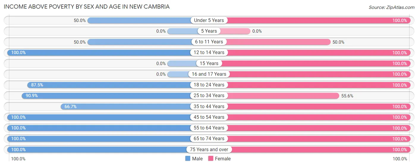 Income Above Poverty by Sex and Age in New Cambria