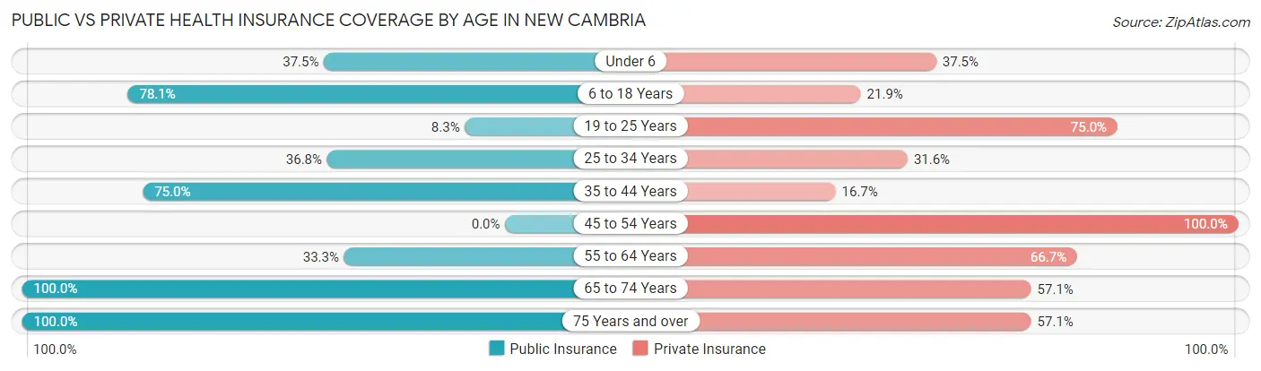 Public vs Private Health Insurance Coverage by Age in New Cambria