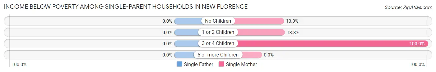 Income Below Poverty Among Single-Parent Households in New Florence