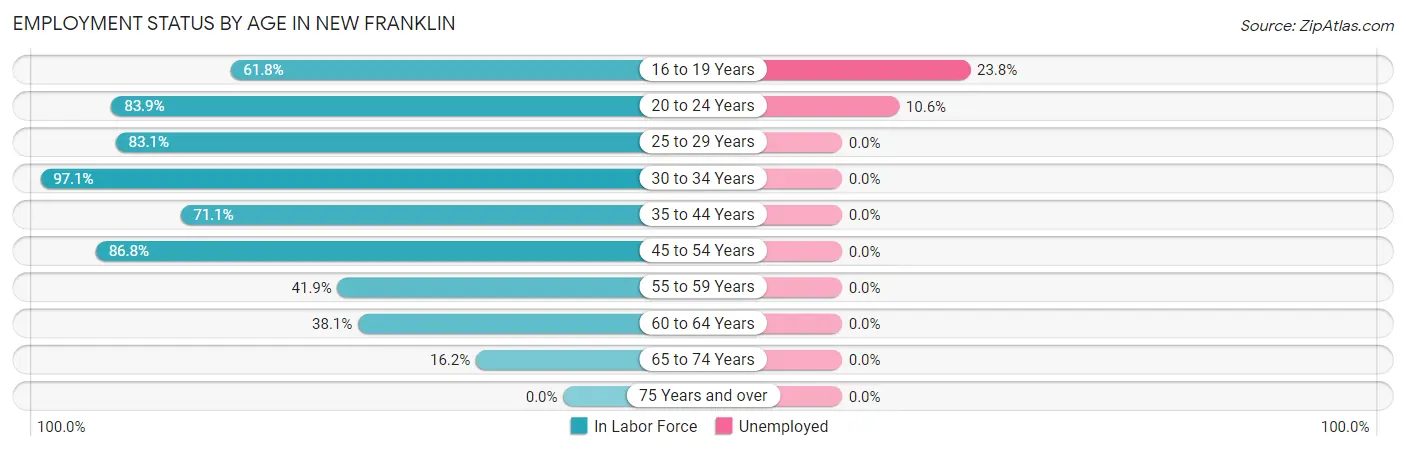 Employment Status by Age in New Franklin