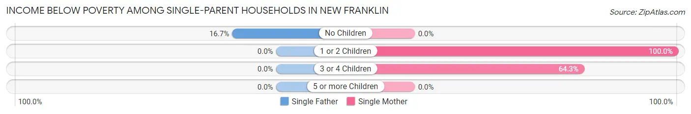 Income Below Poverty Among Single-Parent Households in New Franklin