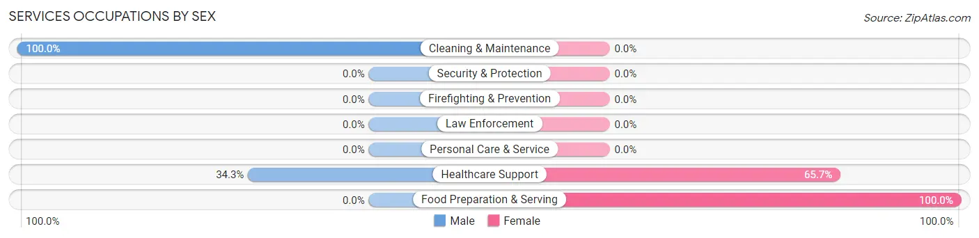 Services Occupations by Sex in New Madrid