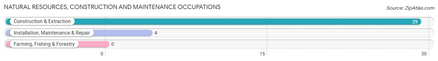 Natural Resources, Construction and Maintenance Occupations in Niangua