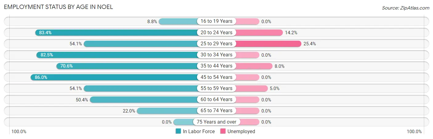 Employment Status by Age in Noel