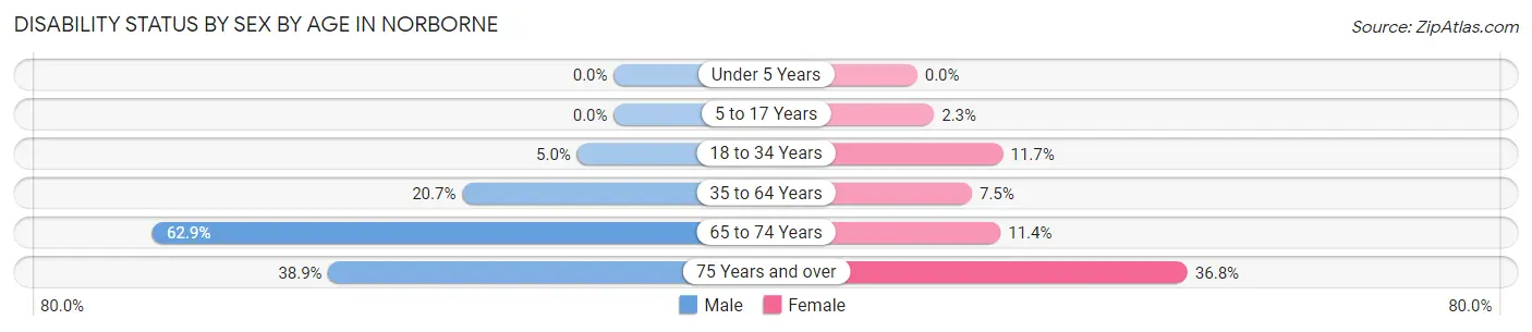 Disability Status by Sex by Age in Norborne