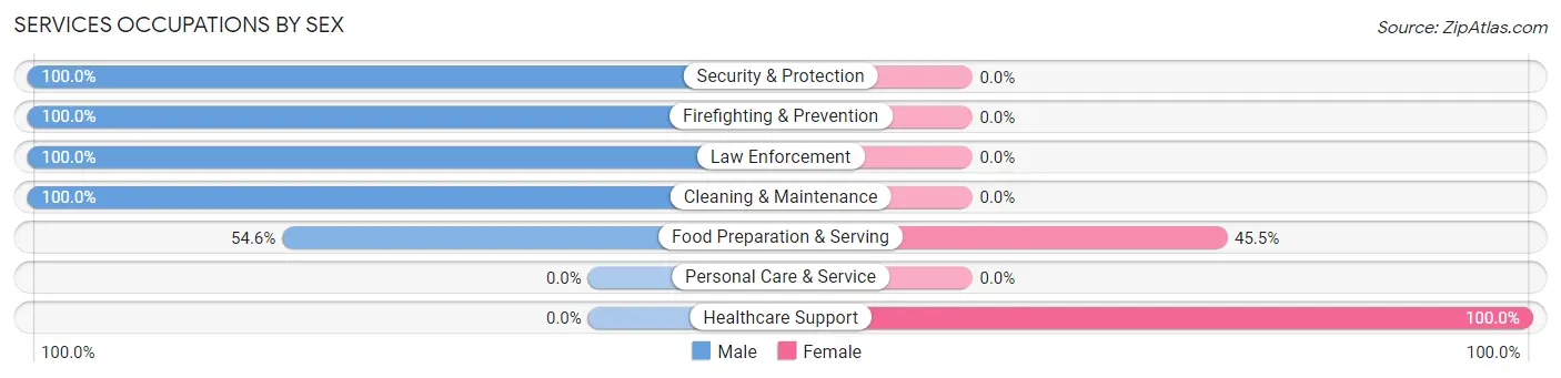 Services Occupations by Sex in Norborne