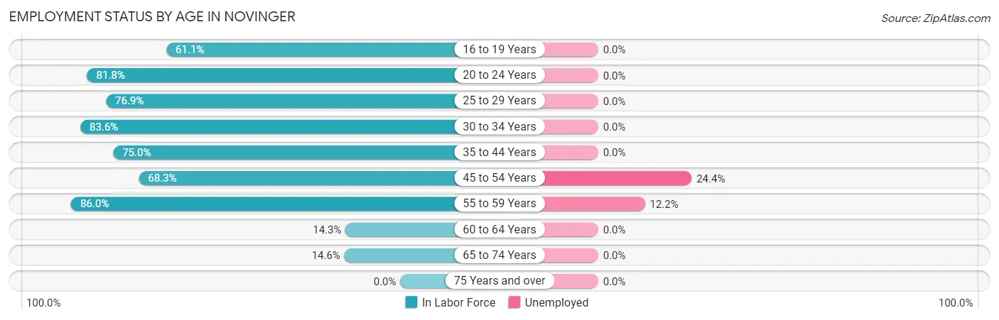 Employment Status by Age in Novinger