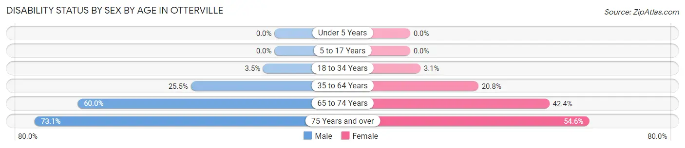 Disability Status by Sex by Age in Otterville
