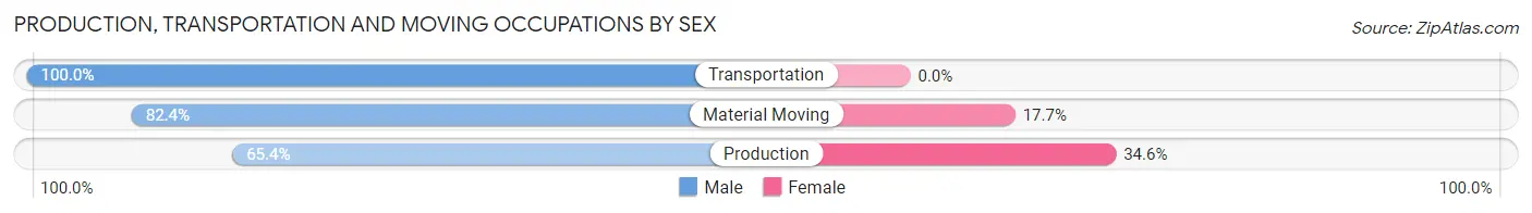 Production, Transportation and Moving Occupations by Sex in Paris