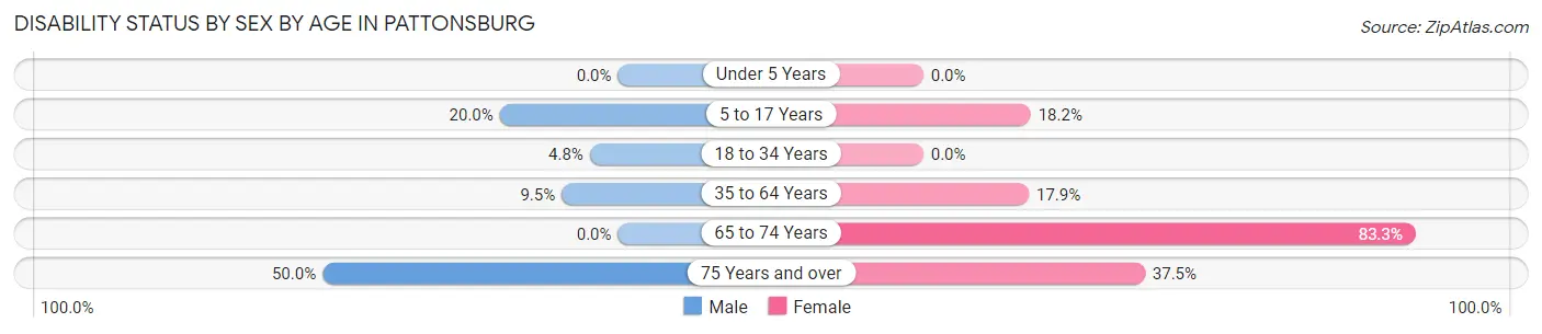 Disability Status by Sex by Age in Pattonsburg