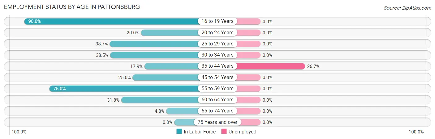 Employment Status by Age in Pattonsburg