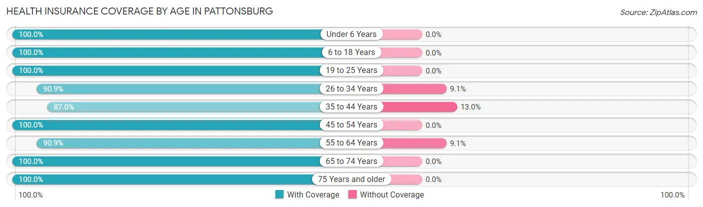 Health Insurance Coverage by Age in Pattonsburg