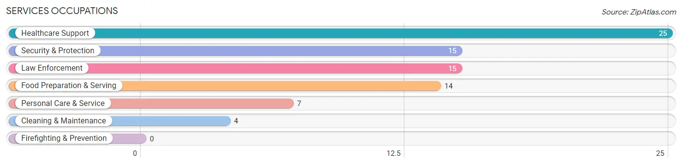 Services Occupations in Perry