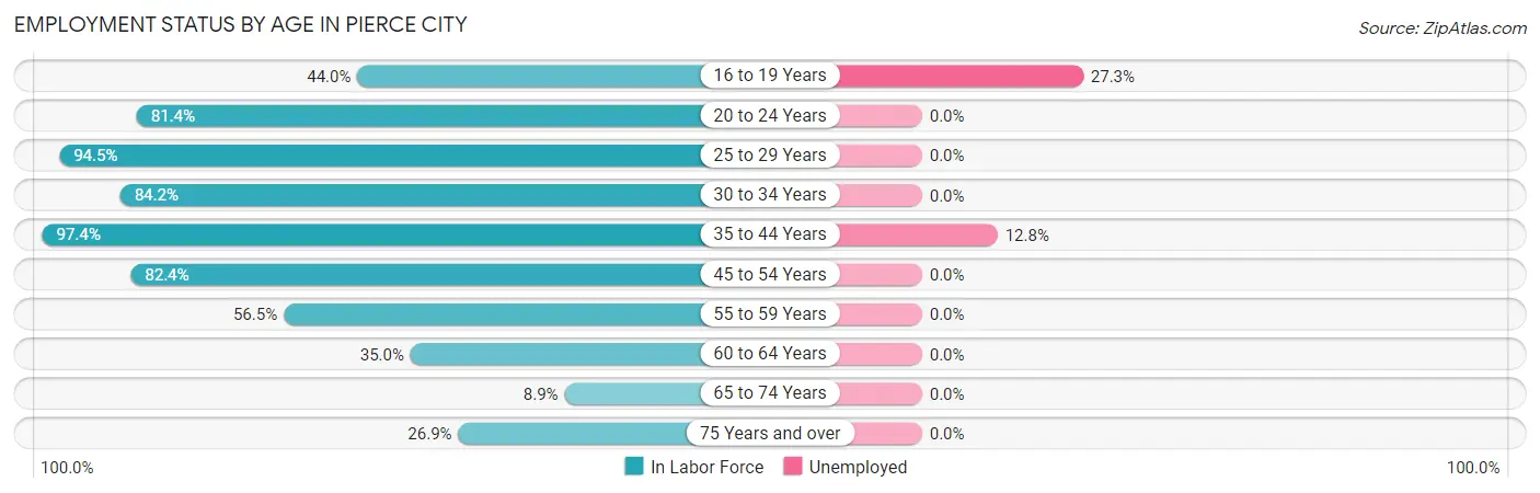 Employment Status by Age in Pierce City