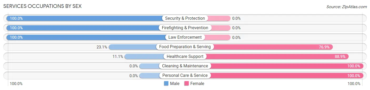 Services Occupations by Sex in Pierce City