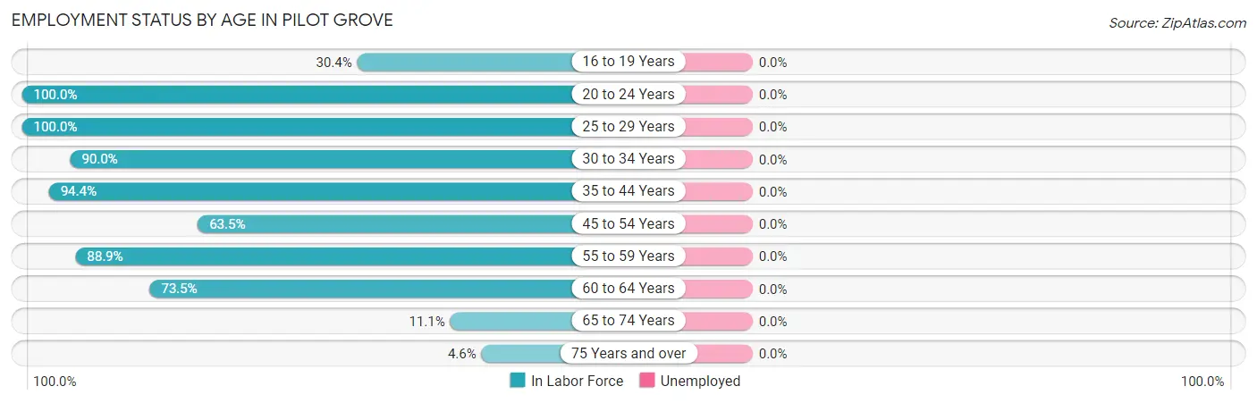 Employment Status by Age in Pilot Grove