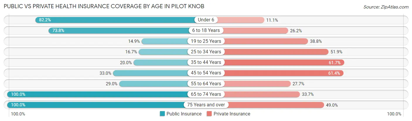 Public vs Private Health Insurance Coverage by Age in Pilot Knob