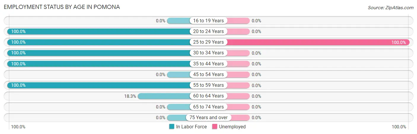 Employment Status by Age in Pomona