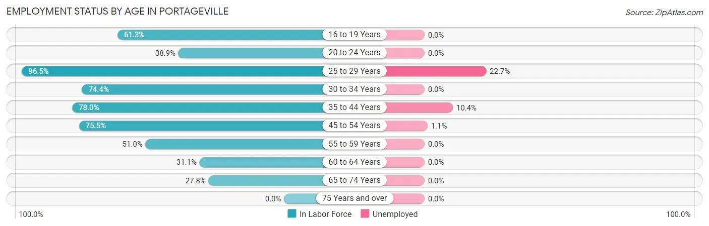 Employment Status by Age in Portageville