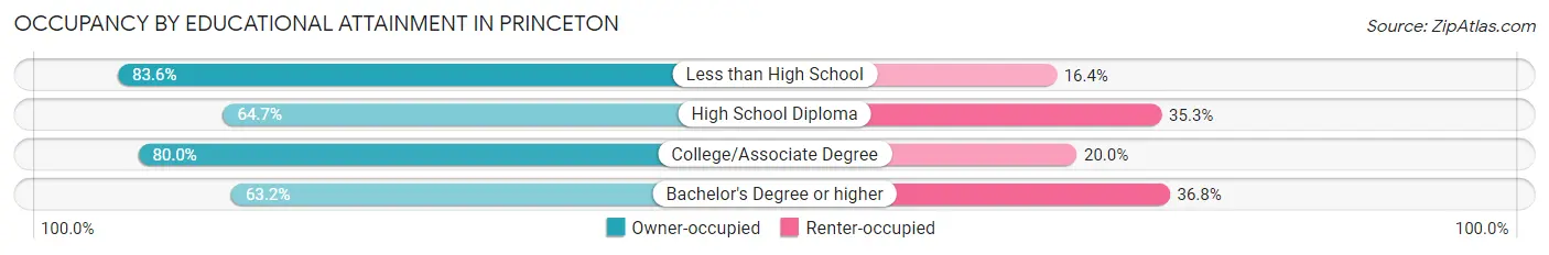 Occupancy by Educational Attainment in Princeton